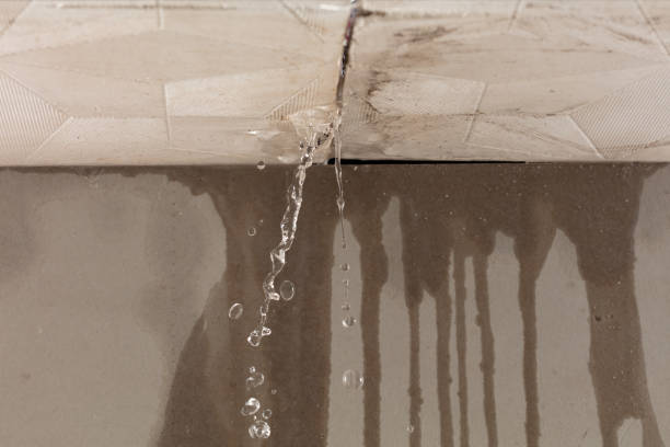 Professional Water Damage Restoration technician working in New Castle, IN